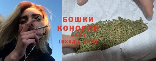 ГАЛЛЮЦИНОГЕННЫЕ ГРИБЫ Заречный
