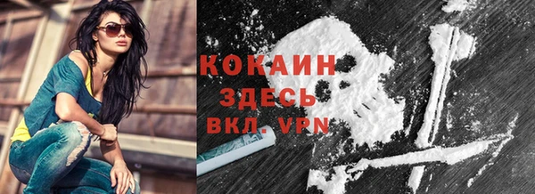 молекула духа Балахна