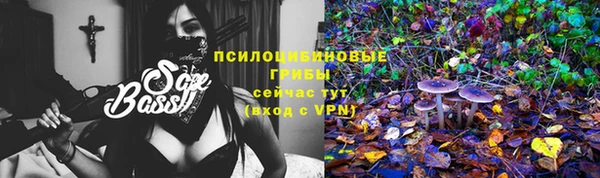 молекула духа Балахна