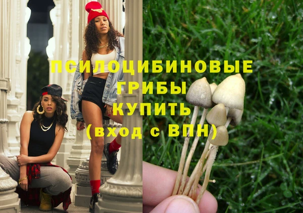 твердый Белокуриха
